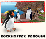 WebWilds Rockhopper Penguin